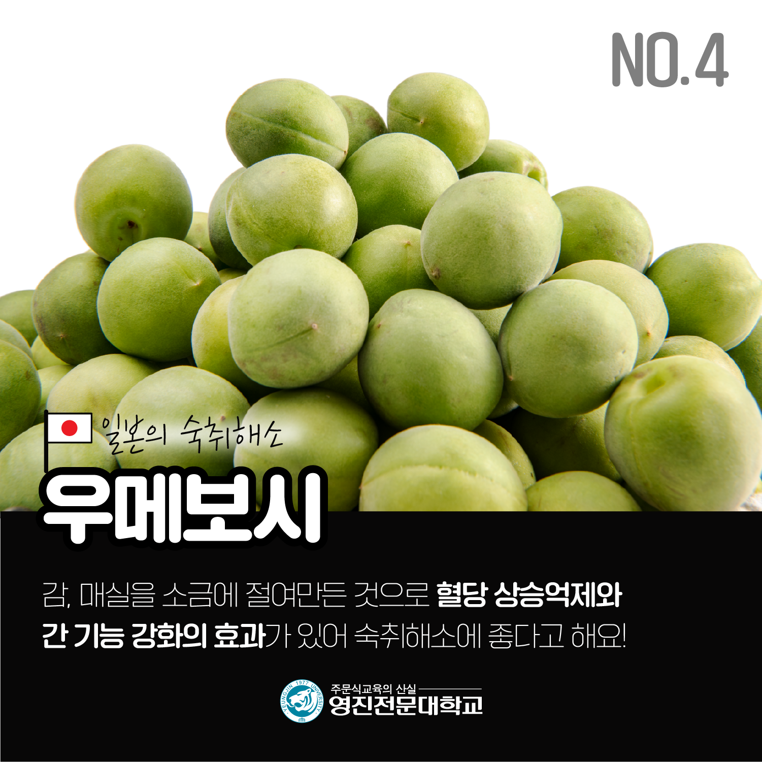 230516-각_나라별_숙취_해소법(5).png